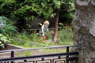 Friedhof Altlandsberg-2